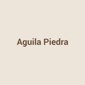 Figura de aguila en piedra (ejemplo)